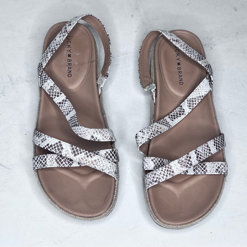 - Lucky Brand Daedil snakeprint slip on sandals